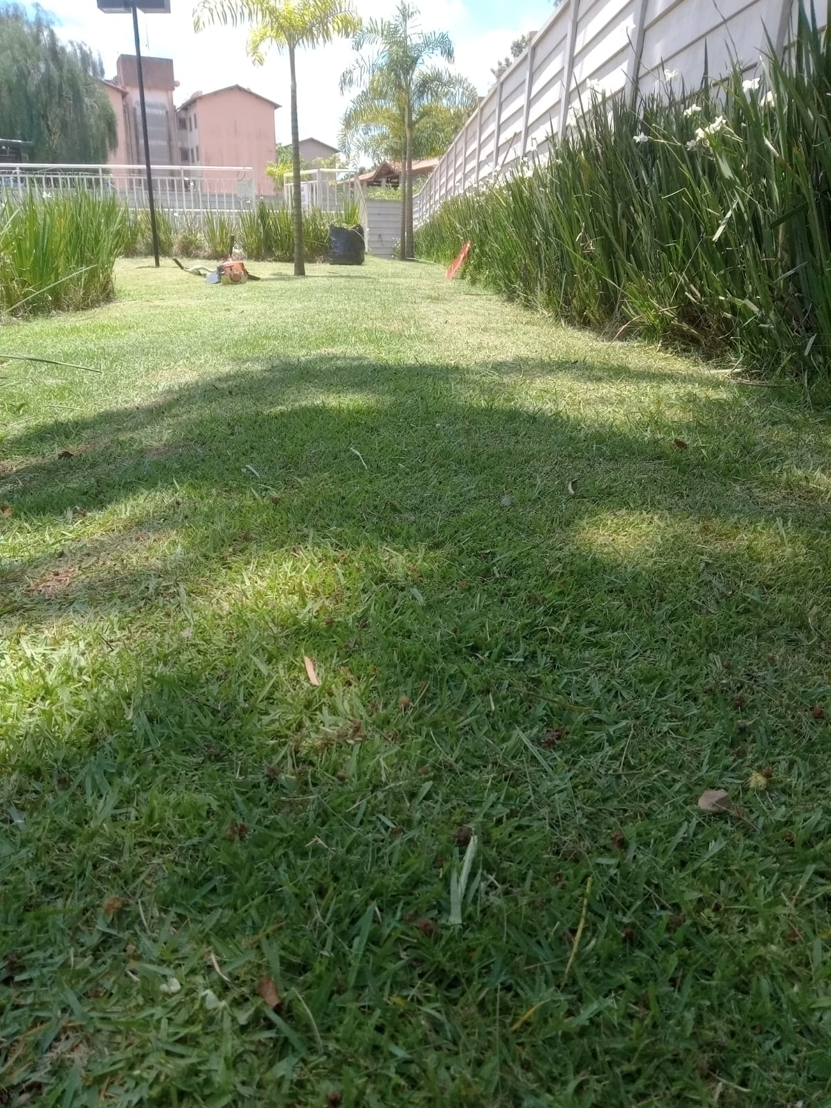 Manutenção de Piscina